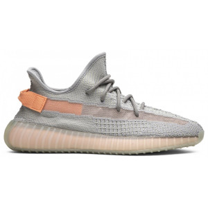 Adidas Yeezy Boost 350 V2 TRUE FORM