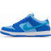 DUNK LOW BLUE RASPBERRY