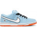 DUNK LOW PRO SB GULF